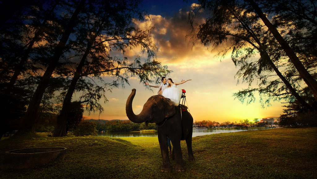 泰国-大象-图片2