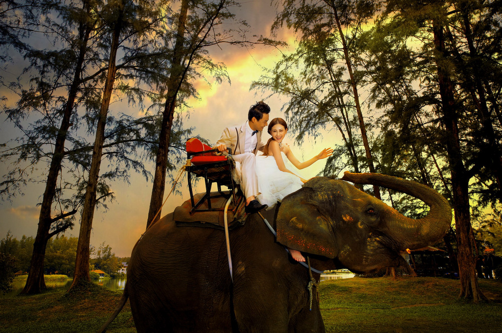泰国-大象-图片4