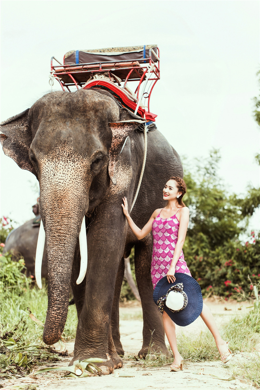 泰国-大象的见证-图片3