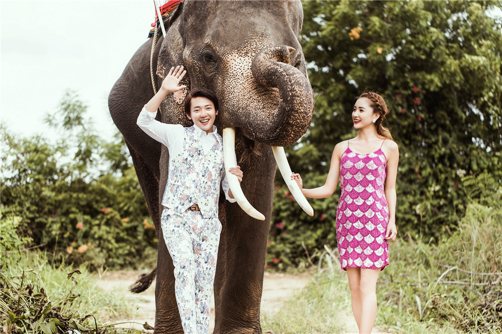 泰国-大象的见证-图片2