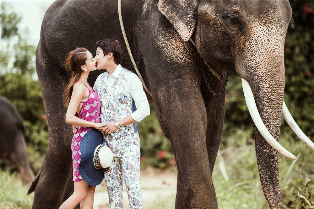 泰国-大象的见证-图片4