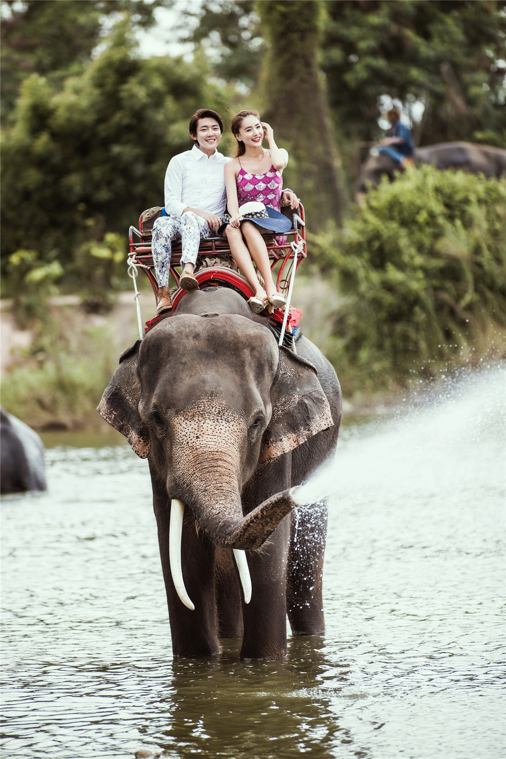 泰国-大象的见证-图片5